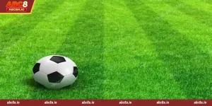 9Wickets Sports