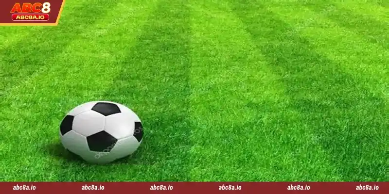 9Wickets Sports