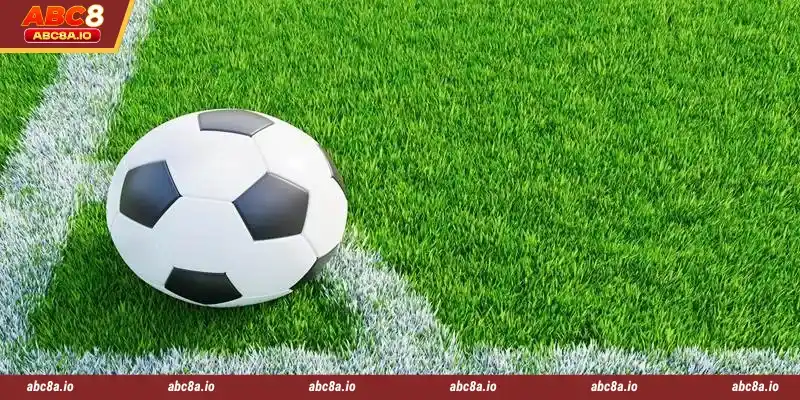 9Wickets Sports - Top sports betting games at ABC8 you should know about
