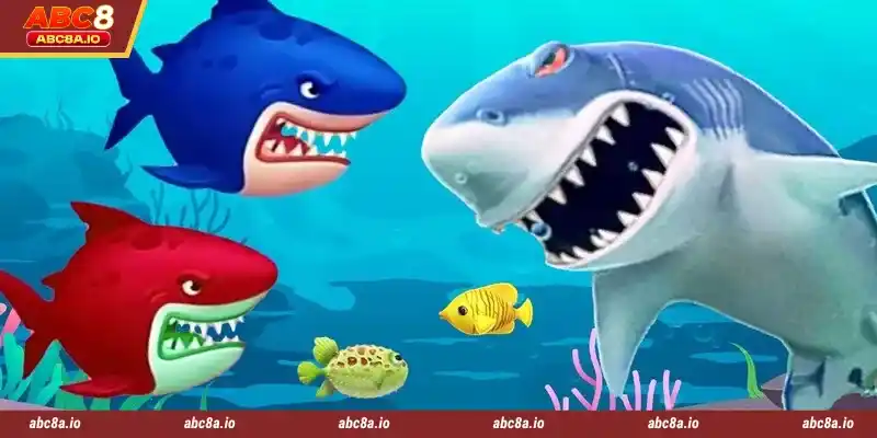 ABC8 is a reputable online betting platform today